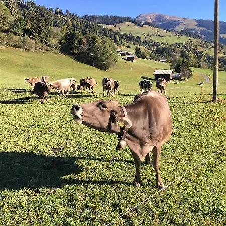 Beer'S B&B Bed and Breakfast *