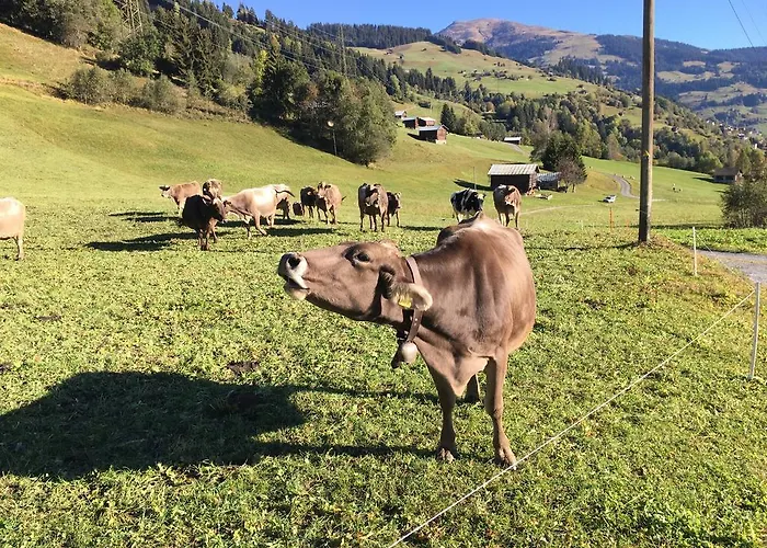 Beer'S B&B Alojamento de Acomodação e Pequeno-almoço *