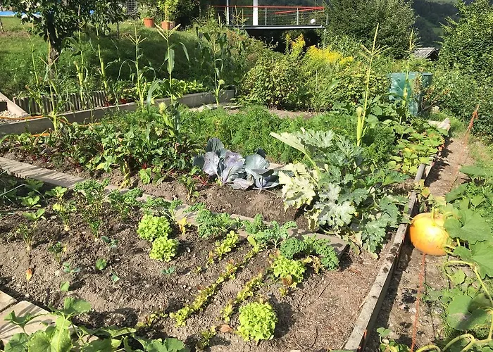 Alojamento de Acomodação e Pequeno-almoço Beer'S B&B Breíl