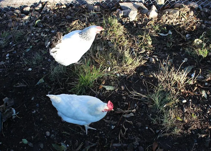 Alojamento de Acomodação e Pequeno-almoço Beer'S B&B *