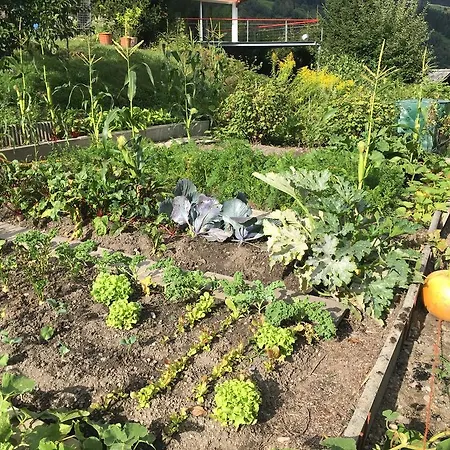 Nocleg ze śniadaniem Beer'S B&B Breíl