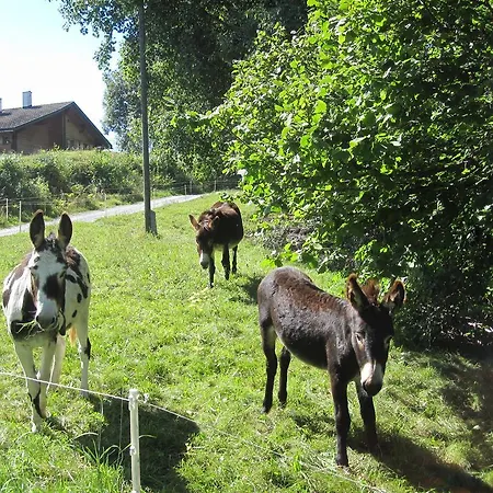 Beer'S B&B Nocleg ze śniadaniem Breíl
