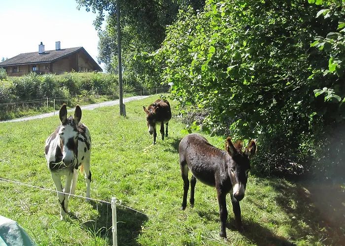 Beer'S B&B Alojamento de Acomodação e Pequeno-almoço Breíl